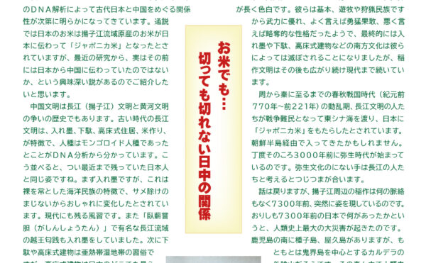 寺岡内科医院 きょうから元気2024年12月号